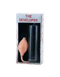 The New Developer 2