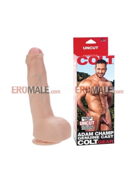 Colt Adam Champ Cock