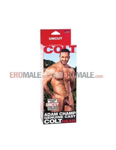 Colt Adam Champ Cock