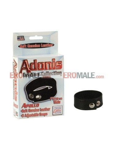 Adonis Leather Collection - Apollo
