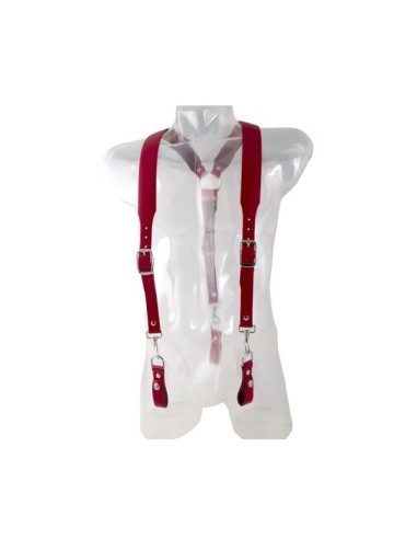 Harnesses Combi Harness Braces Basic 