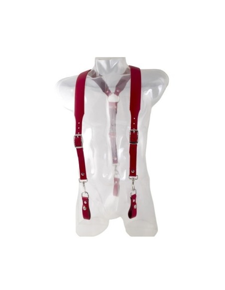 Harnesses Combi Harness Braces Basic 