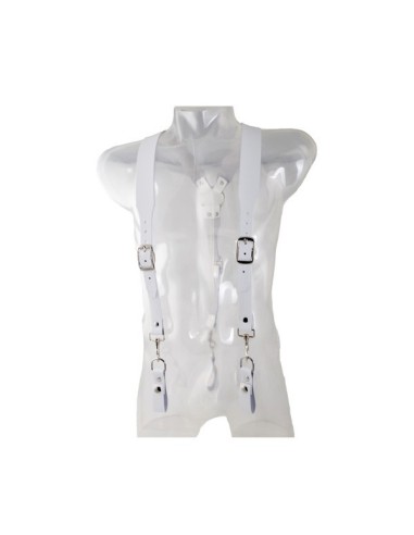 Harnesses Combi Harness Braces Basic 