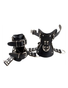 Premium Ankle Suspension Restraints