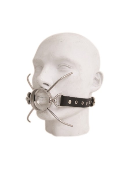Spider Gag